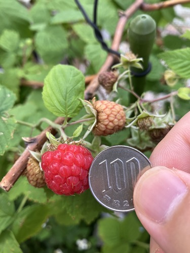 67E504BB-2BAB-4E35-AA63-3430C1F45787