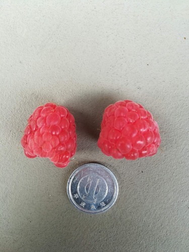 IMG_20190612_153045プロセン