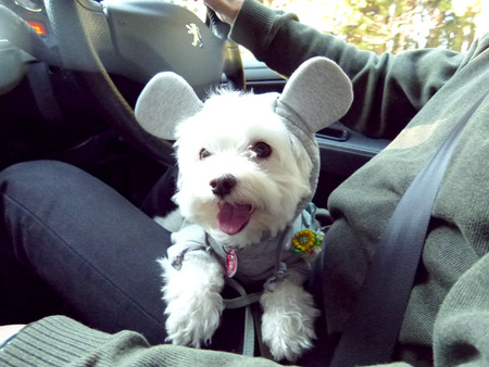 2011-12-24-A-004