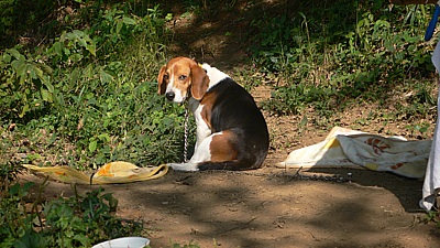 028e67d1.jpg