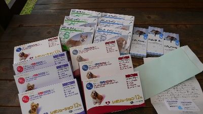 P1190926_resize1