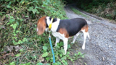 063953f3.jpg