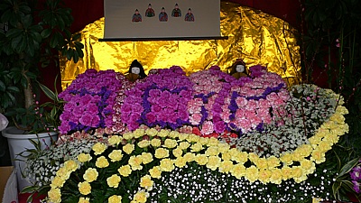 0720487e.jpg