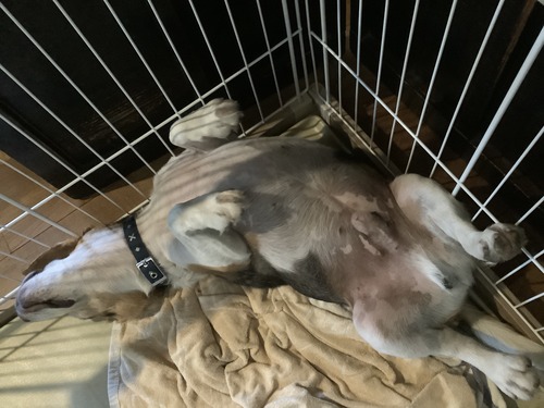 D47B0DA2-587C-4AB1-8A77-702695D41062