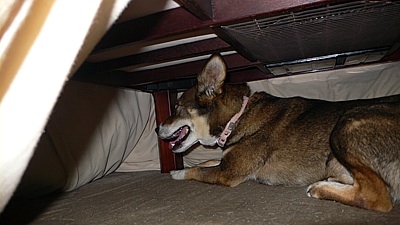 09097f7f.jpg