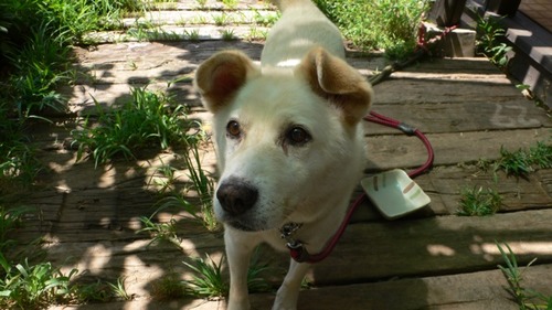 2012-09-18 09:59:05 写真2