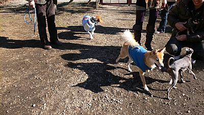 0a4357ab.jpg