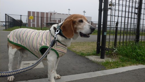 2013-04-17 20:27:10 写真4