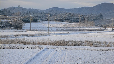 0f8c2343.jpg