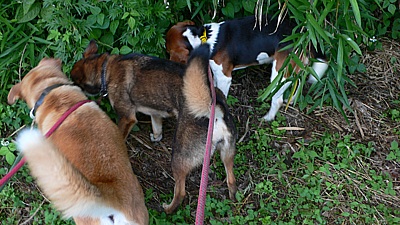 128857ac.jpg