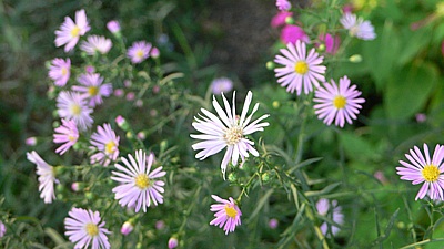 131547d0.jpg