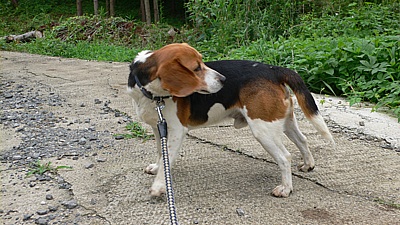 153d0e64.jpg