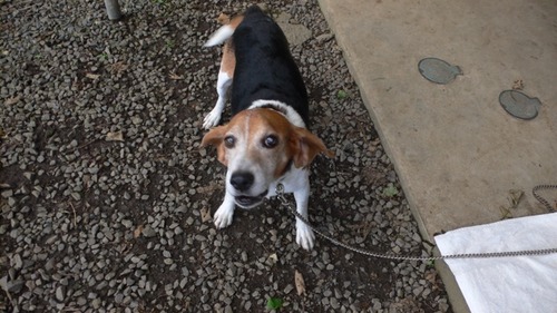 2012-10-04 19:59:11 写真11