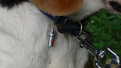 18a446ef.jpg