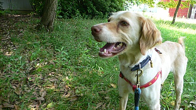 1a24551f.jpg