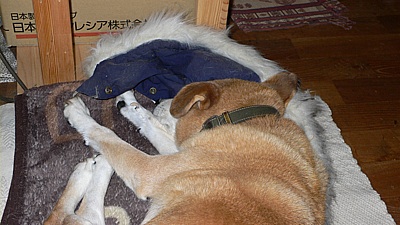 1ba79d99.jpg