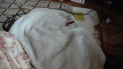 1c75f732.jpg