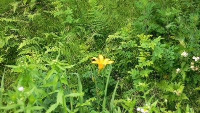P1200527_resize1
