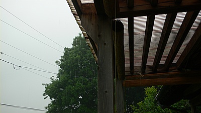 1d907ee9.jpg