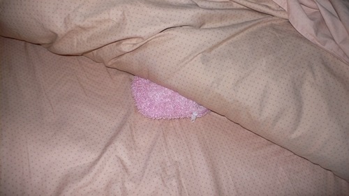 2013-05-02 10:26:25 写真1