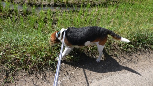 2012-10-04 19:59:11 写真6