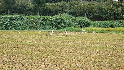 1fd8e74c.jpg