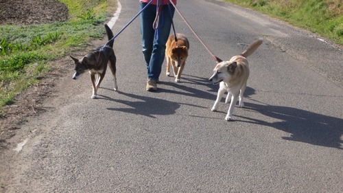 2013-03-24 20:59:49 写真4