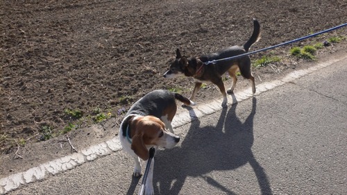 2013-03-24 20:59:49 写真6