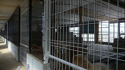 241e83f5.jpg