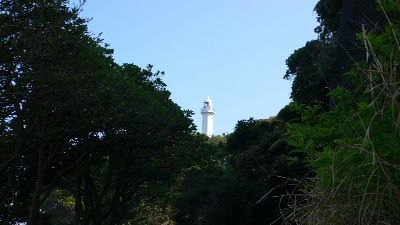 P1300555_resize1