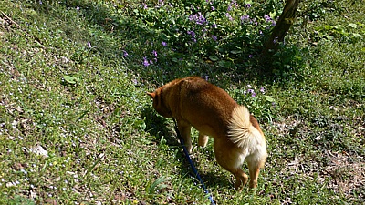 28f2e97e.jpg