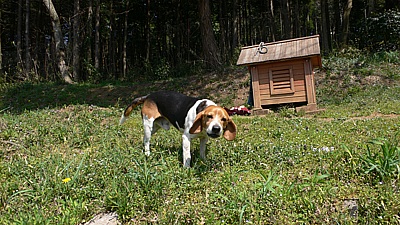 2a0f846d.jpg