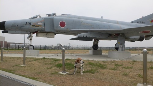 2013-04-17 20:27:10 写真6