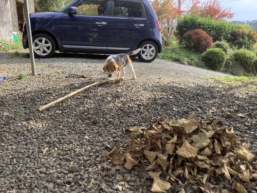 8ED8E424-C273-4626-95BB-59608153E09E