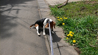2cf8e55d.jpg