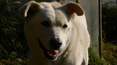 2e27c565.jpg