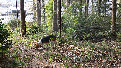 2f277659.jpg
