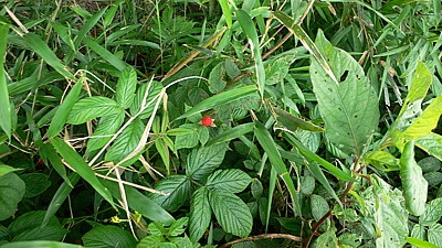 31cdd818.jpg