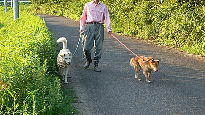 31fb7d9a.jpg