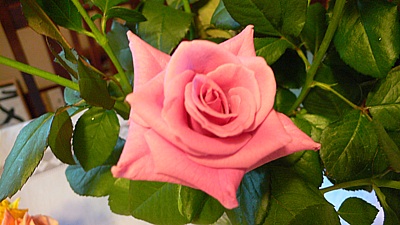 32ef37c6.jpg