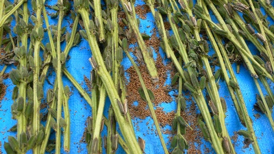 33e48010.jpg