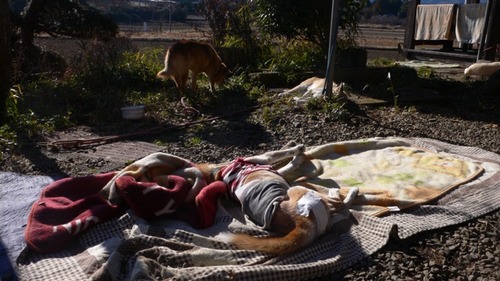 2013-01-05 16:36:18 写真8