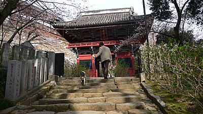 396e5100.jpg