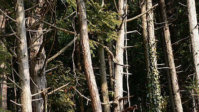 3b4011f6.jpg