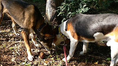 3e12bd6d.jpg