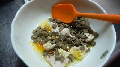 P1290328_resize1