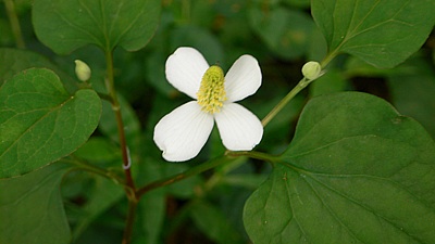 3ed283f8.jpg