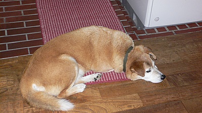 3f3b468e.jpg