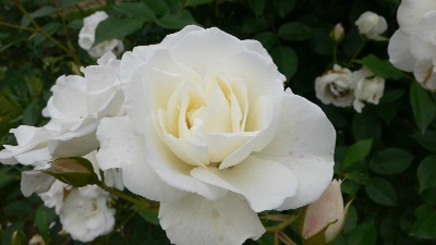 P1160599_resize1