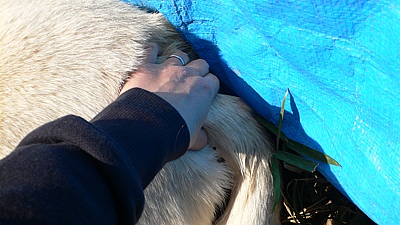 433e11e4.jpg